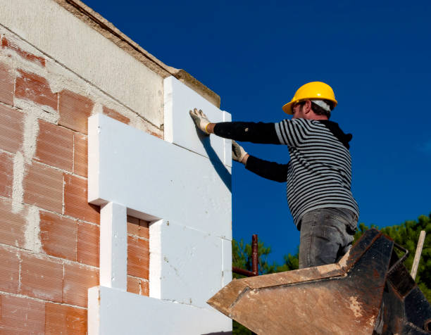 Best Professional Insulation Contractor  in Shenandoah Heights, PA
