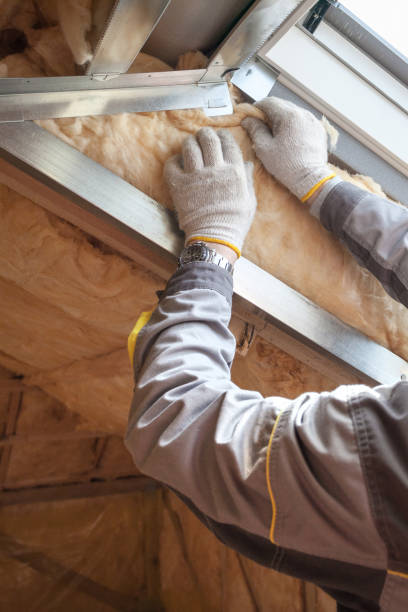Best Garage Insulation Installation  in Shenandoah Heights, PA
