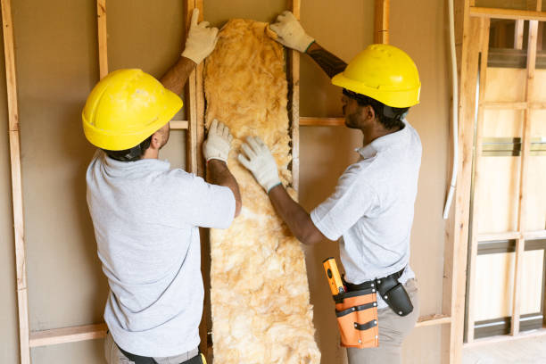 Best Insulation for New Construction  in Shenandoah Heights, PA