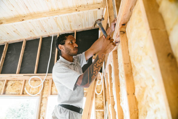 Best Best Insulation Companies  in Shenandoah Heights, PA