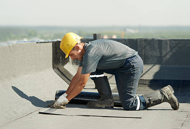Best Insulation Replacement Services  in Shenandoah Heights, PA